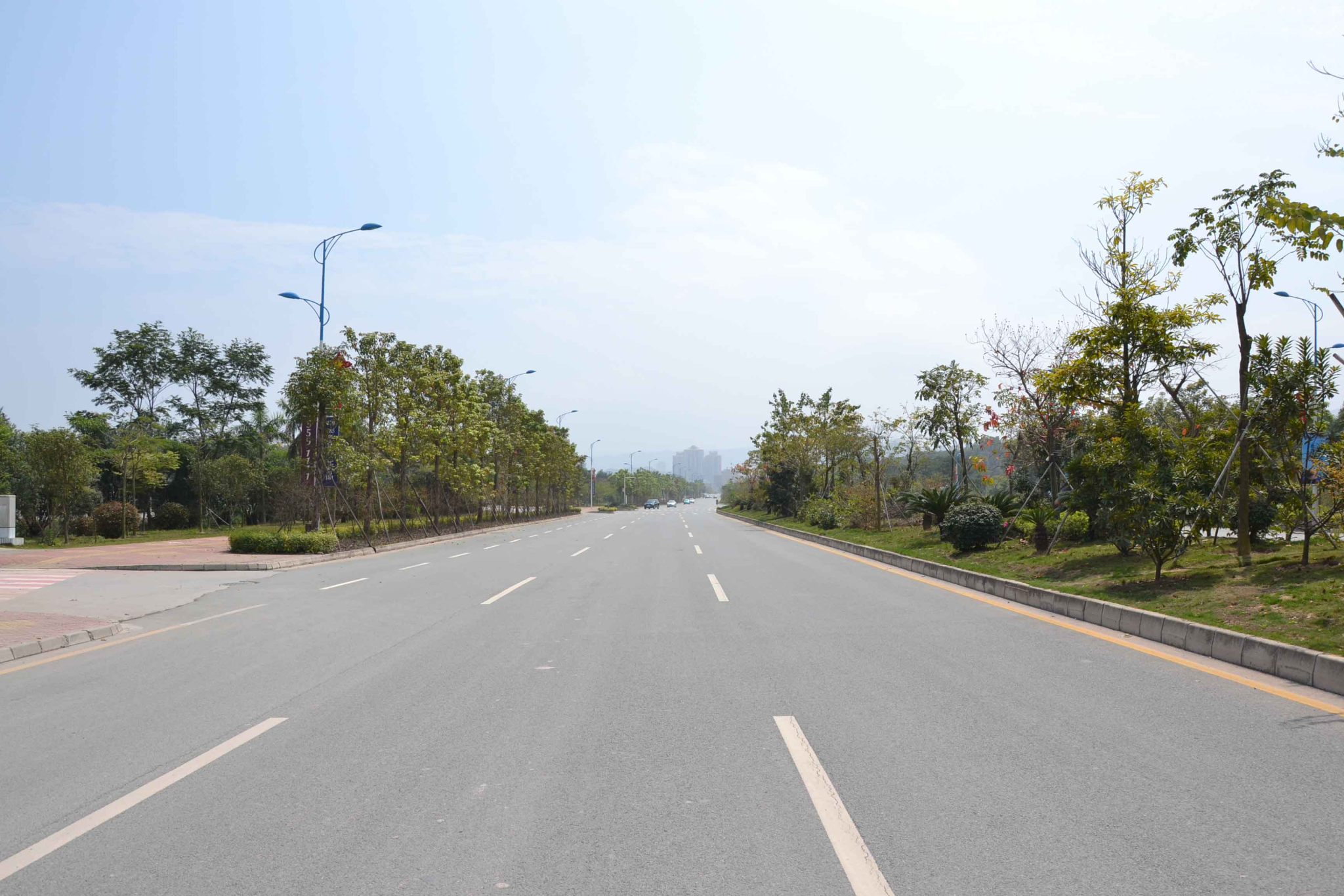 大亚湾中心区中兴中路市政工程（省优良样板工程）5.jpg