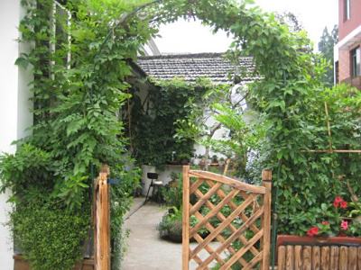 庭院夏季植物病虫害的防治方法