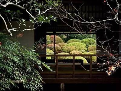 打造理想庭院，让家成为放松心灵的避风港！