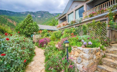 养一座花园，看岁月在园中留下美好