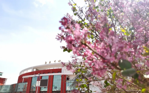 2024年唐山市遵化職業(yè)教育聯(lián)合學校職教周活動搶先看