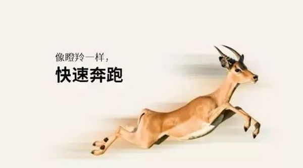 重磅喜讯丨天玺国际荣获“瞪羚企业”认定