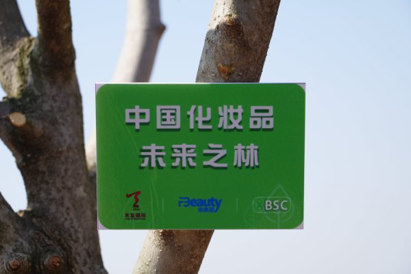 BSC成立！天玺国际以及80余家美妆公司站在了一起