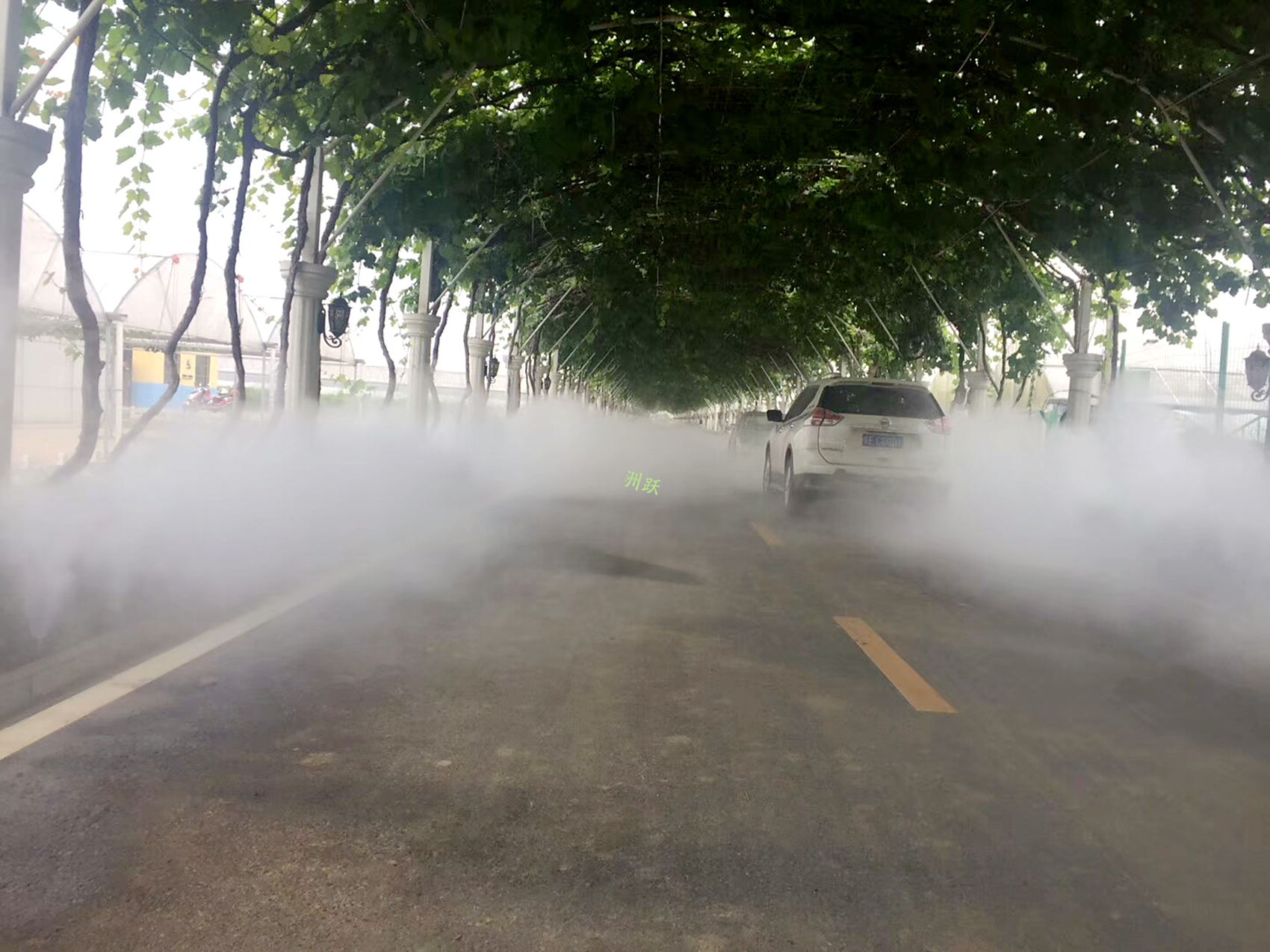 渭南葡萄产业园(6)