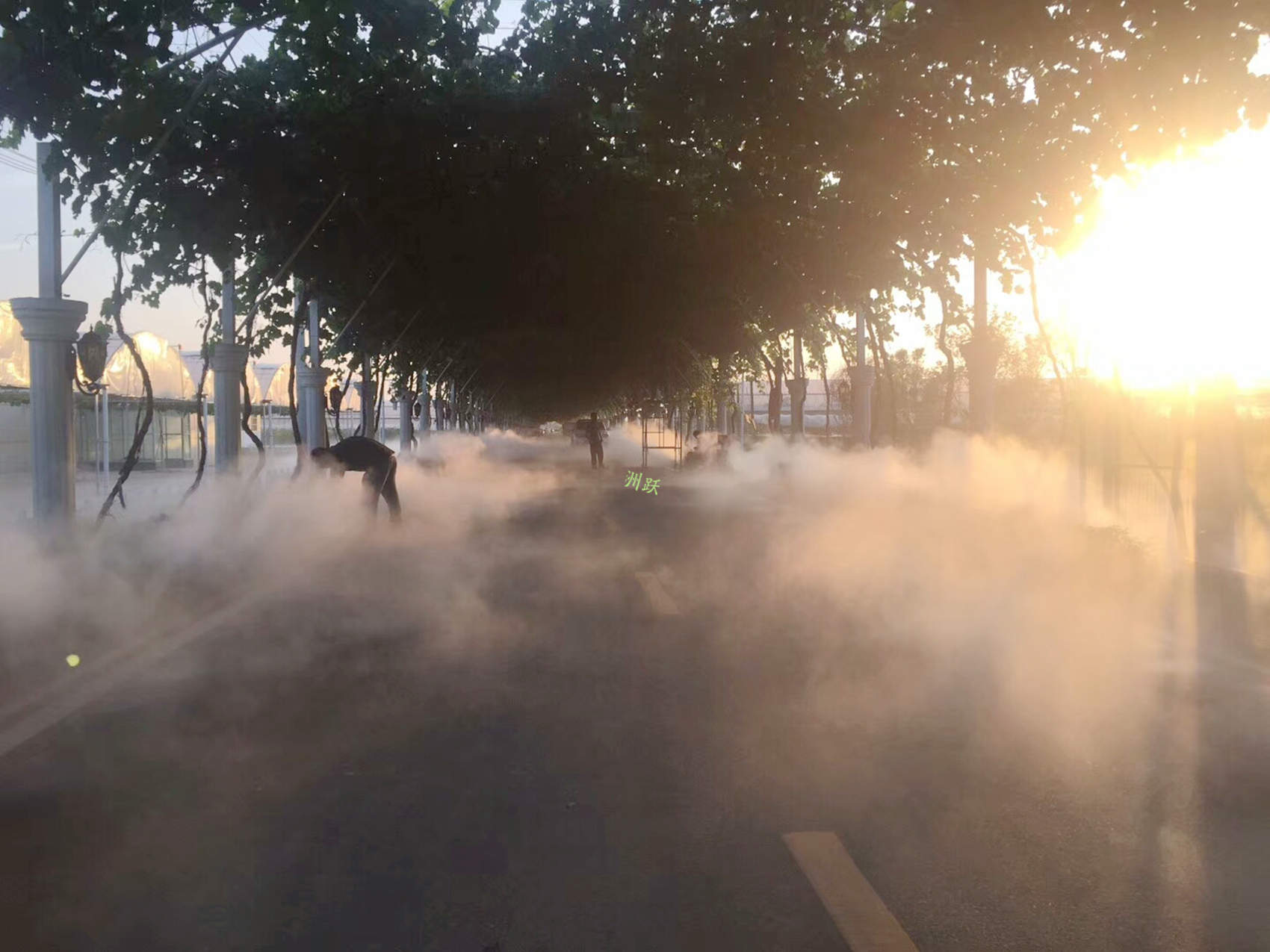 渭南葡萄产业园(7)