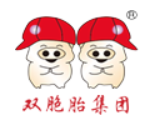 双胞胎集团