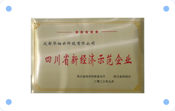 四川省新经济示范企业