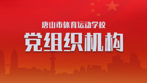 党组织机构
