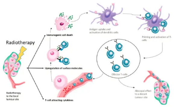 免疫治疗的优势有哪些？_瑞博戴科_祝君健康咨询