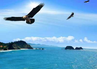 超完整的施工技术交底，混工地都得会！