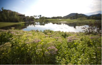 建筑工程资质是如何划分的