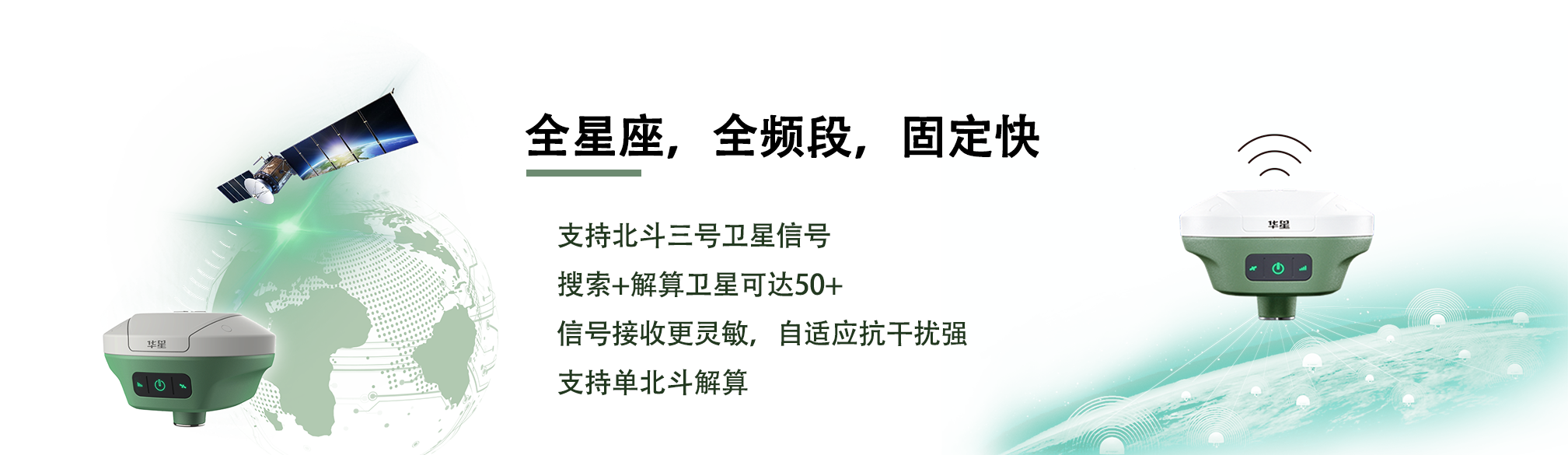 霍山石斛