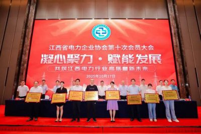江西省通信产业服务有限公司获评省电力企业协会“2024年度优秀会员单位”