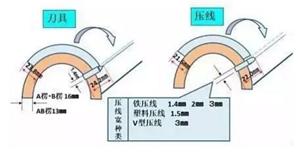 玖龍紙業傳授紙板