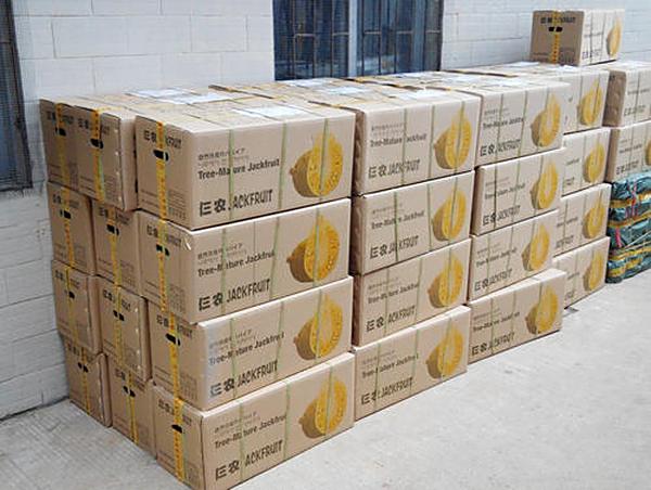 纸浆供应量不减反增，上半年巴西纸浆市场“虚”与“实”