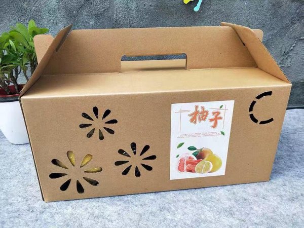 太阳纸业李洪信：发挥优势拉长产业链 企业业绩稳健增长