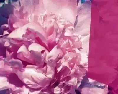 近千年历史的纱线染色，6大纱线染色方法你都知道吗？