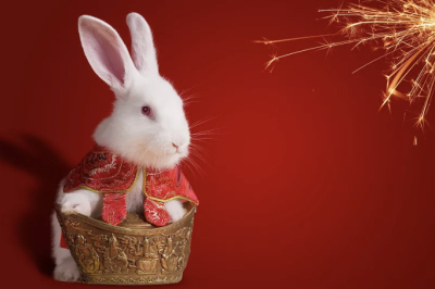 大红色新鲜出缸“色牢度”没的说！亚诺全新分散大红系列，水洗牢度佳，拼白牢度一流！