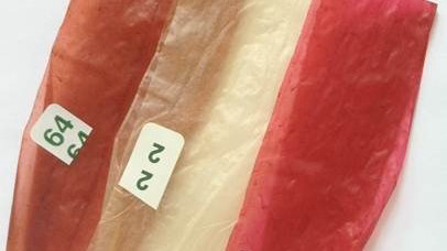 如何检测香肠肠衣的颜色-颜色测量工具ColorFlex EZ