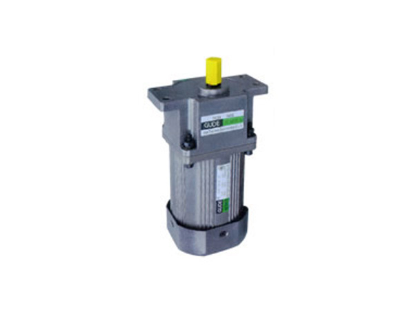 15W感应式电动机