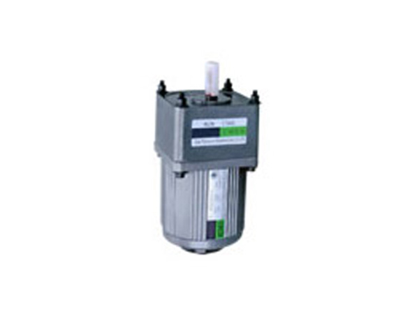 25W感应式电动机