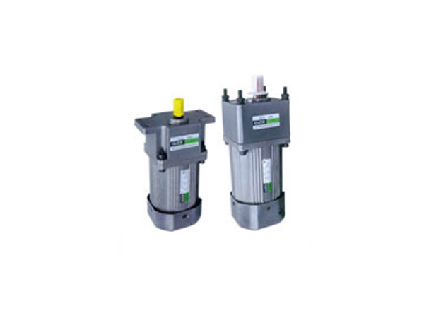 40W感应式电动机