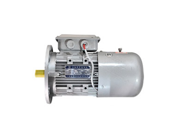 YEJ2B5型电磁制动电动机