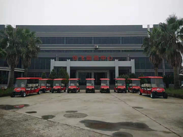 浙江华飞8座高尔夫球车成功交车