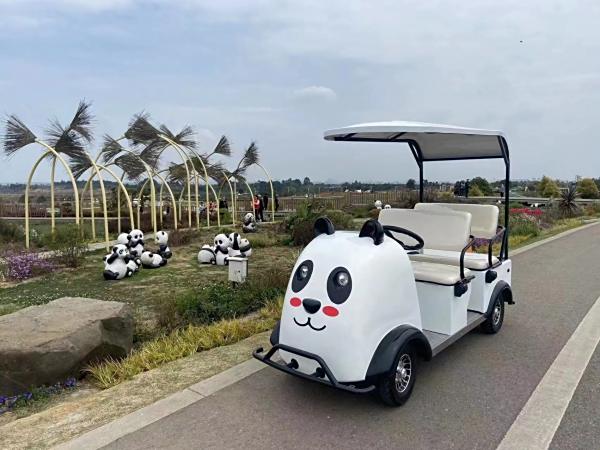 空港花田合作案例