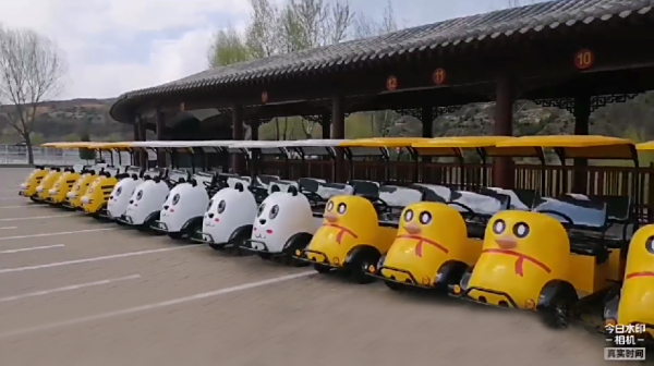 某景区成功合作案例