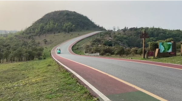 傲虎百里杜鹃合作案例