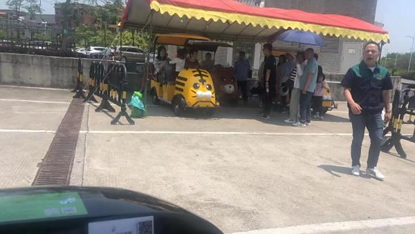 我们的小老虎，小企鹅， 小熊猫 ，代步车深受大朋友，小朋友们的喜爱