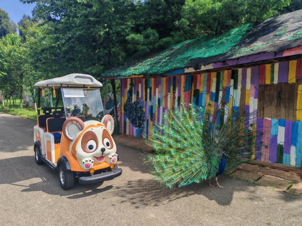 傲虎高端扫码车落户云南野生动物园