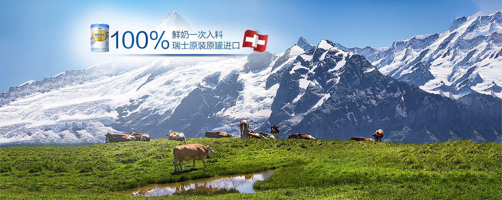 草地远处有雪山
描述已自动生成