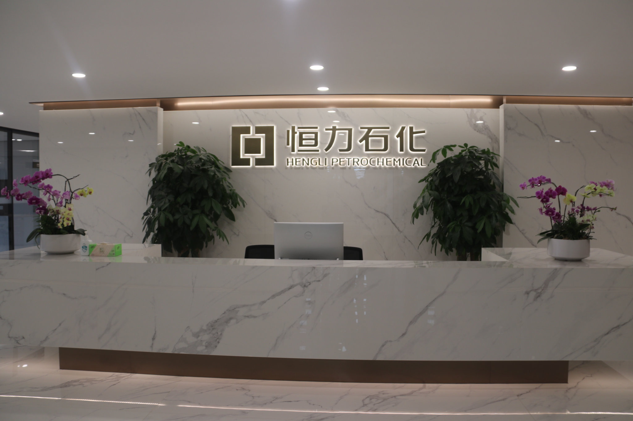 世界五百强恒力石化（惠州）PTA项目开工