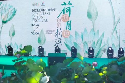 夏季拜水十八游丨“荷塘月色 印象新浜” 2024上海松江荷花节盛大开幕