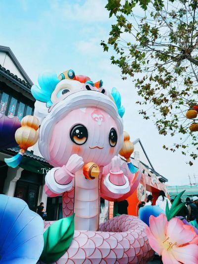 松江年味满满，迎春花展、蛇年新春庆典、欢乐中国年...你想在哪过春节？