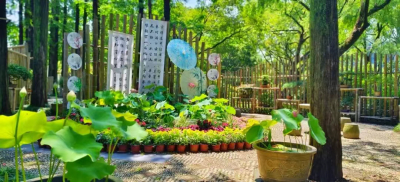 夏季拜水十八游 | 莲开万象，和荷共生！ 第十二届上海荷花睡莲展将在小暑节气启幕​
