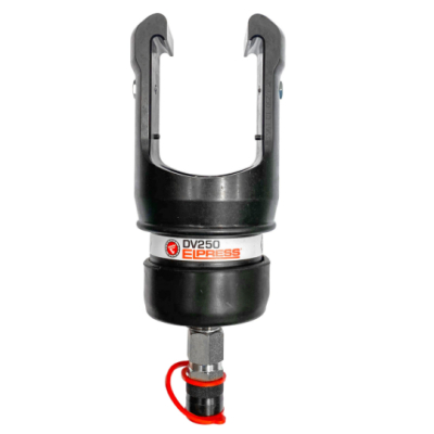 DV250