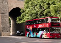 travel picture