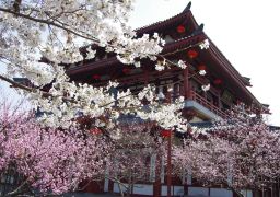 travel picture