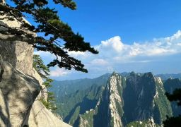 travel picture