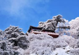 travel picture