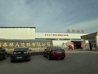 固始春林人造板有限公司