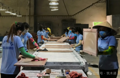 越南木材在中美关税下，对中国出口暴增124%