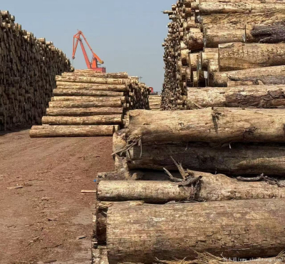 加蓬木材受中国需求疲软影响