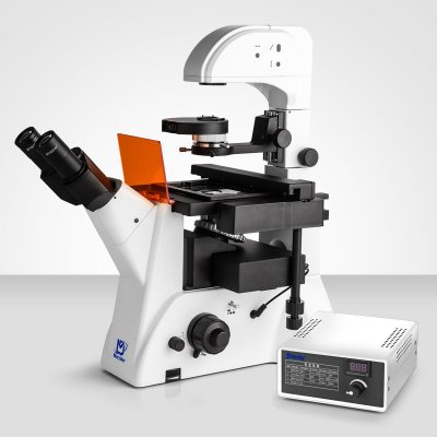 Murzider迈时迪     MSD530DT    生物显微镜