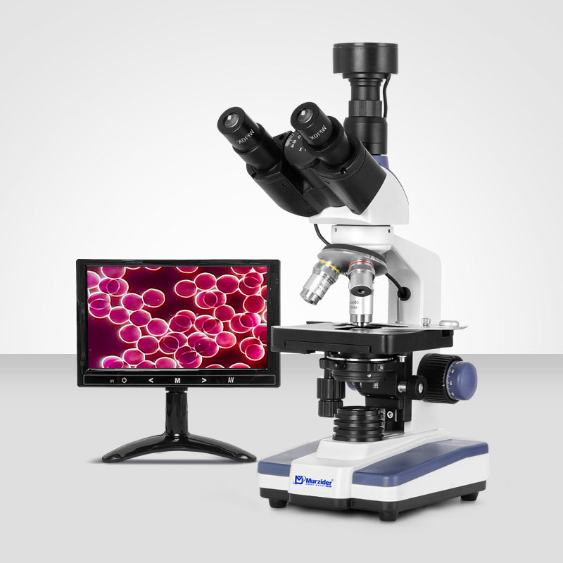 Murzider迈时迪     MSD1012     生物显微镜