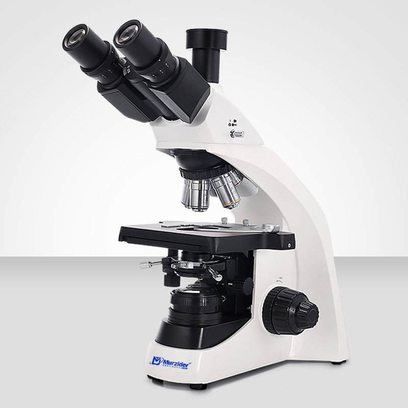 Murzider迈时迪    MSD901     生物显微镜