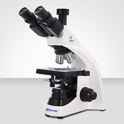 Murzider迈时迪    MSD901     生物显微镜